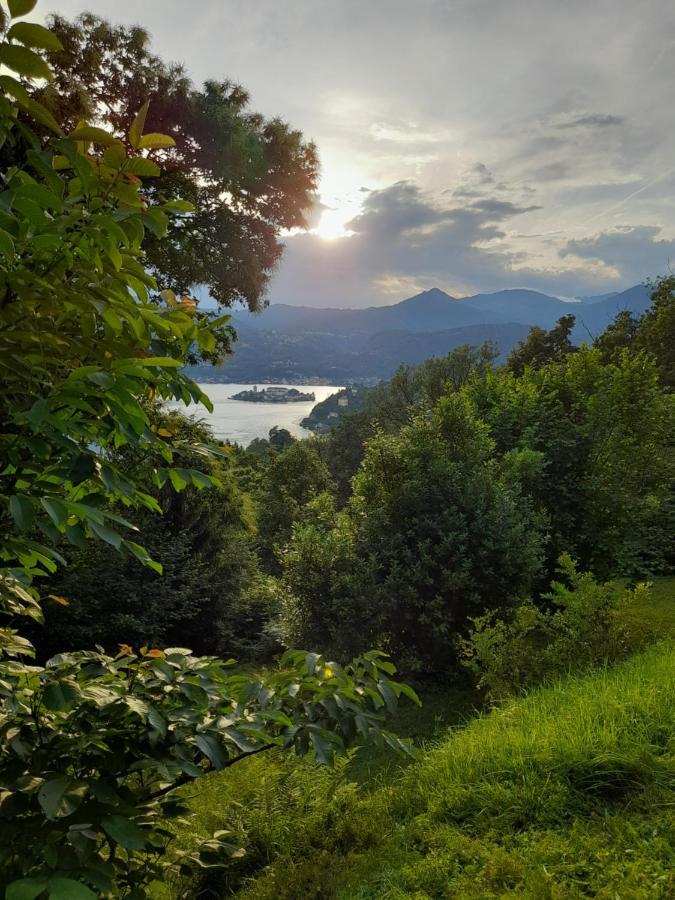 Terrazza Sul Lago Ameno Eksteriør billede