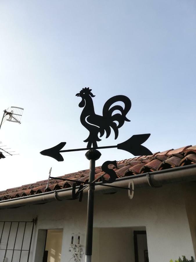 Terrazza Sul Lago Ameno Eksteriør billede